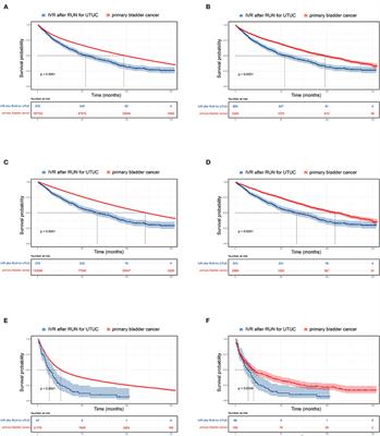 Intravesical Recurrence After Radical Nephroureterectomy of Upper Urinary Tract Urothelial Carcinoma: A Large Population-Based Investigation of Clinicopathologic Characteristics and Survival Outcomes